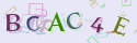 Musíte opsat 6 znaků z množiny 0..9 nebo A..F z obrázku.