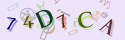 Musíte opsat 6 znaků z množiny 0..9 nebo A..F z obrázku.