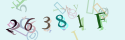 Musíte opsat 6 znaků z množiny 0..9 nebo A..F z obrázku.