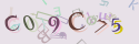 Musíte opsat 6 znaků z množiny 0..9 nebo A..F z obrázku.