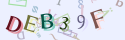 Musíte opsat 6 znaků z množiny 0..9 nebo A..F z obrázku.