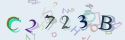 Musíte opsat 6 znaků z množiny 0..9 nebo A..F z obrázku.
