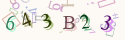 Musíte opsat 6 znaků z množiny 0..9 nebo A..F z obrázku.