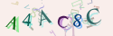 Musíte opsat 6 znaků z množiny 0..9 nebo A..F z obrázku.