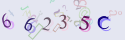 Musíte opsat 6 znaků z množiny 0..9 nebo A..F z obrázku.