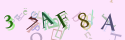 Musíte opsat 6 znaků z množiny 0..9 nebo A..F z obrázku.