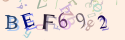 Musíte opsat 6 znaků z množiny 0..9 nebo A..F z obrázku.