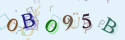 Musíte opsat 6 znaků z množiny 0..9 nebo A..F z obrázku.
