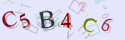 Musíte opsat 6 znaků z množiny 0..9 nebo A..F z obrázku.