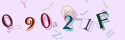 Musíte opsat 6 znaků z množiny 0..9 nebo A..F z obrázku.