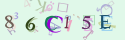 Musíte opsat 6 znaků z množiny 0..9 nebo A..F z obrázku.