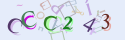 Musíte opsat 6 znaků z množiny 0..9 nebo A..F z obrázku.