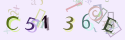 Musíte opsat 6 znaků z množiny 0..9 nebo A..F z obrázku.