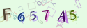 Musíte opsat 6 znaků z množiny 0..9 nebo A..F z obrázku.