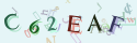 Musíte opsat 6 znaků z množiny 0..9 nebo A..F z obrázku.