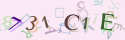 Musíte opsat 6 znaků z množiny 0..9 nebo A..F z obrázku.