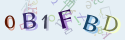 Musíte opsat 6 znaků z množiny 0..9 nebo A..F z obrázku.