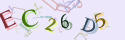 Musíte opsat 6 znaků z množiny 0..9 nebo A..F z obrázku.