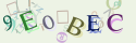Musíte opsat 6 znaků z množiny 0..9 nebo A..F z obrázku.