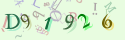 Musíte opsat 6 znaků z množiny 0..9 nebo A..F z obrázku.