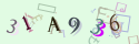 Musíte opsat 6 znaků z množiny 0..9 nebo A..F z obrázku.