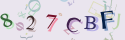 Musíte opsat 6 znaků z množiny 0..9 nebo A..F z obrázku.