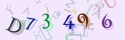 Musíte opsat 6 znaků z množiny 0..9 nebo A..F z obrázku.