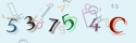 Musíte opsat 6 znaků z množiny 0..9 nebo A..F z obrázku.