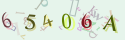 Musíte opsat 6 znaků z množiny 0..9 nebo A..F z obrázku.