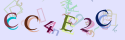 Musíte opsat 6 znaků z množiny 0..9 nebo A..F z obrázku.