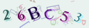 Musíte opsat 6 znaků z množiny 0..9 nebo A..F z obrázku.